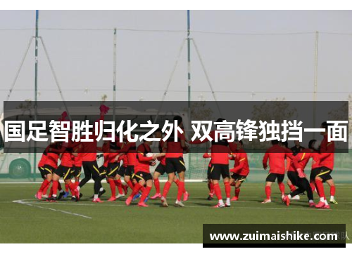 国足智胜归化之外 双高锋独挡一面