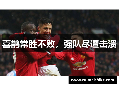 喜鹊常胜不败，强队尽遭击溃
