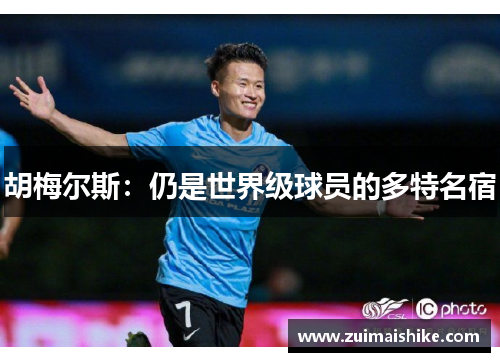 胡梅尔斯：仍是世界级球员的多特名宿