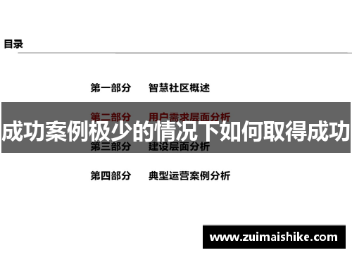 成功案例极少的情况下如何取得成功